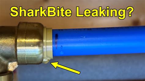 do sharkbite fittings leak|6 Mistakes That Cause SharkBite Fittings To Leak